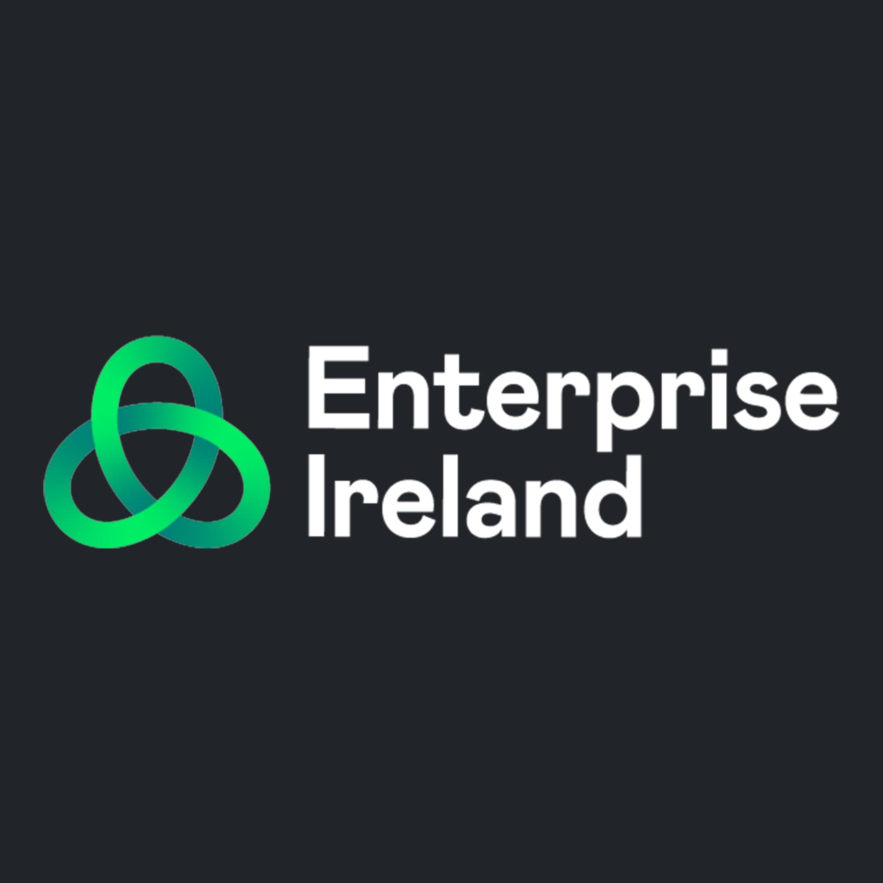 Enterprise Ireland is the Government agency in Ireland responsible for supporting Irish businesses in the manufacturing and internationally traded service
